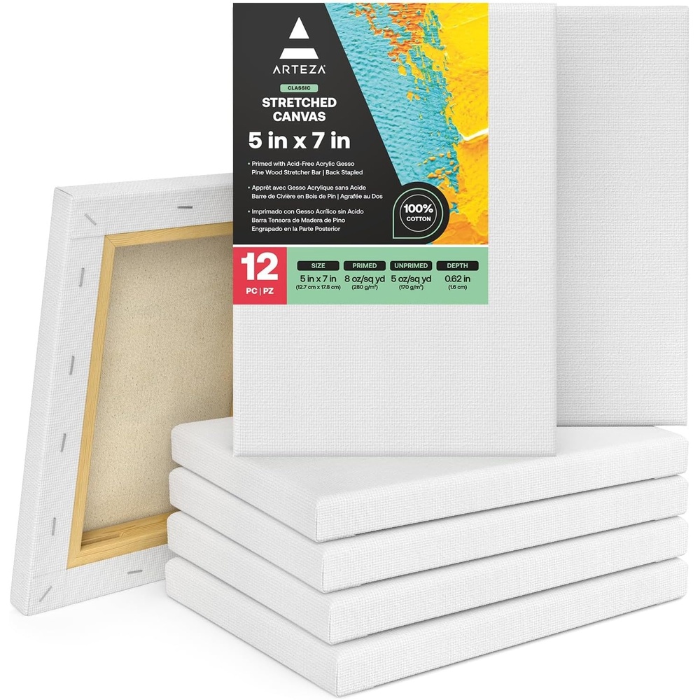 Arteza Paint Canvases for Painting, Pack of 12, 8 x 10 Inches, Blank White Stretched Canvas Bulk, 100% Cotton, 12.3 oz Gesso-Primed, Art Supplies for Adults and Teens, Acrylic Pouring and Oil Painting(white)