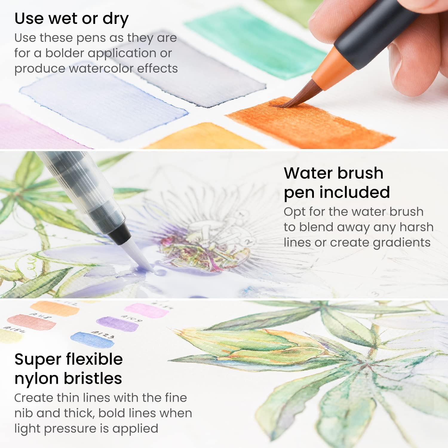 ARTEZA 12 Watercolor Pens for Artists, Landscape Tones Real Brush Pens, Blendable Watercolor Markers for Adults(Landscape Colors)