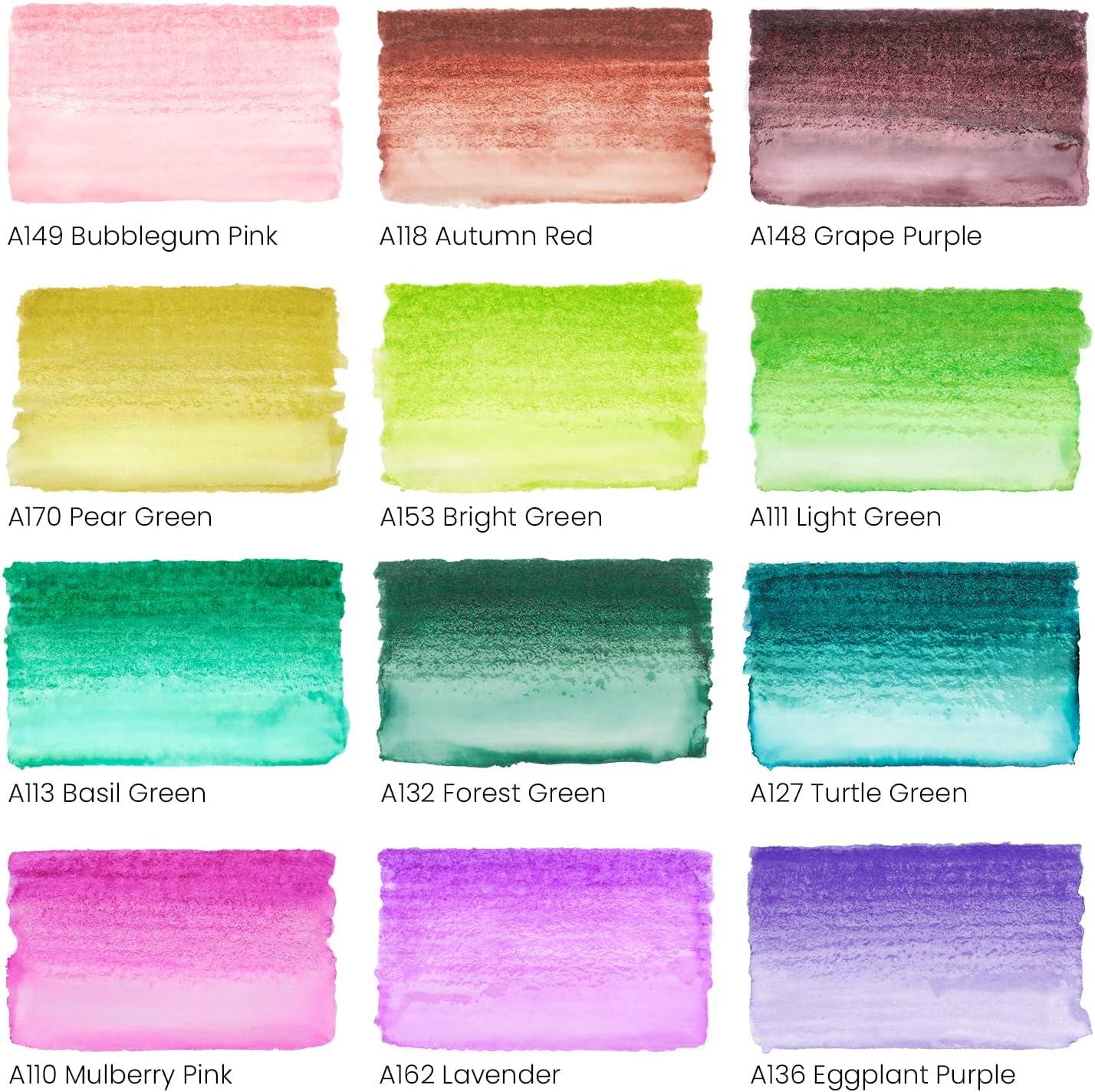 ARTEZA 12 Watercolor Pens for Artists, Landscape Tones Real Brush Pens, Blendable Watercolor Markers for Adults(Magic Colors)