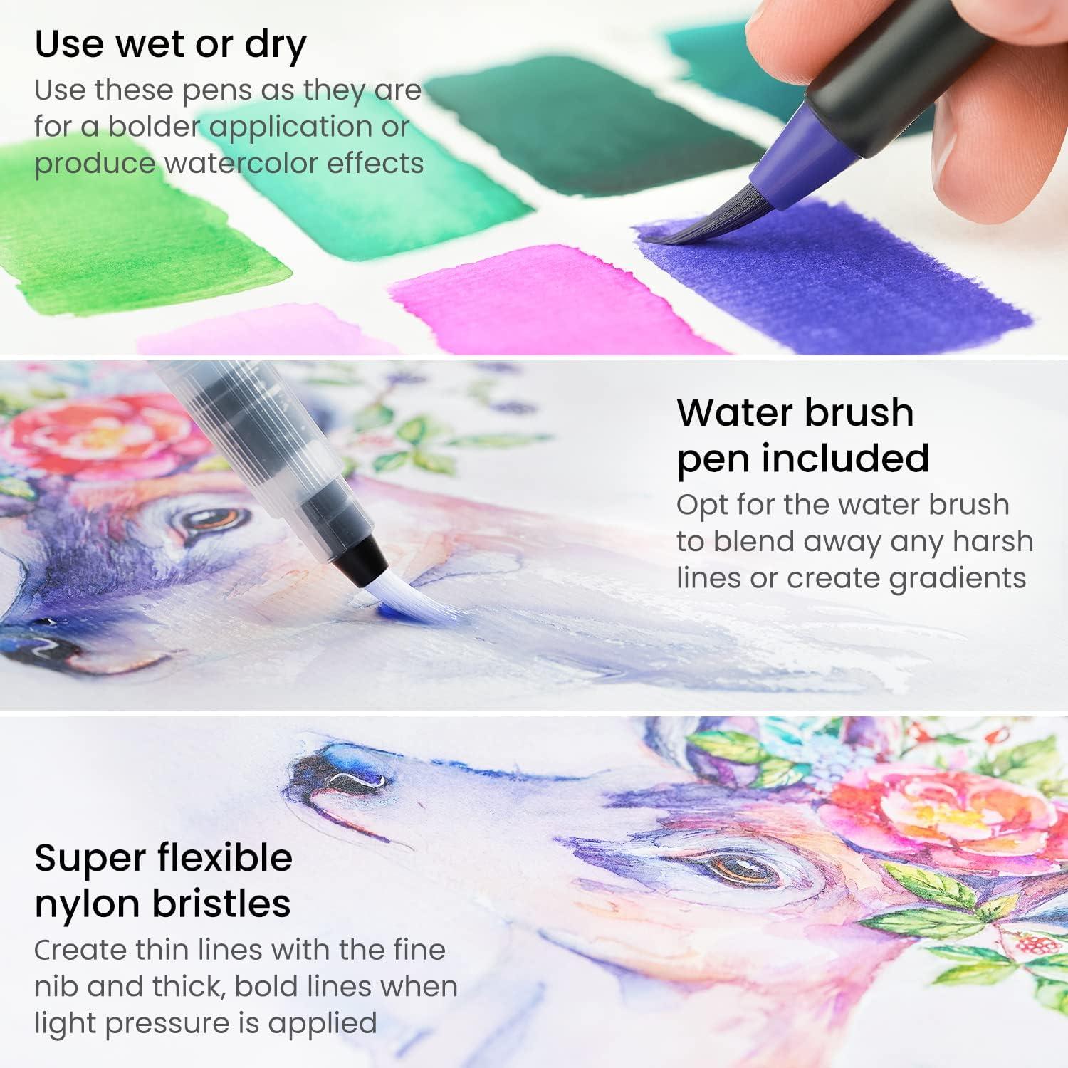 ARTEZA 12 Watercolor Pens for Artists, Landscape Tones Real Brush Pens, Blendable Watercolor Markers for Adults(Magic Colors)