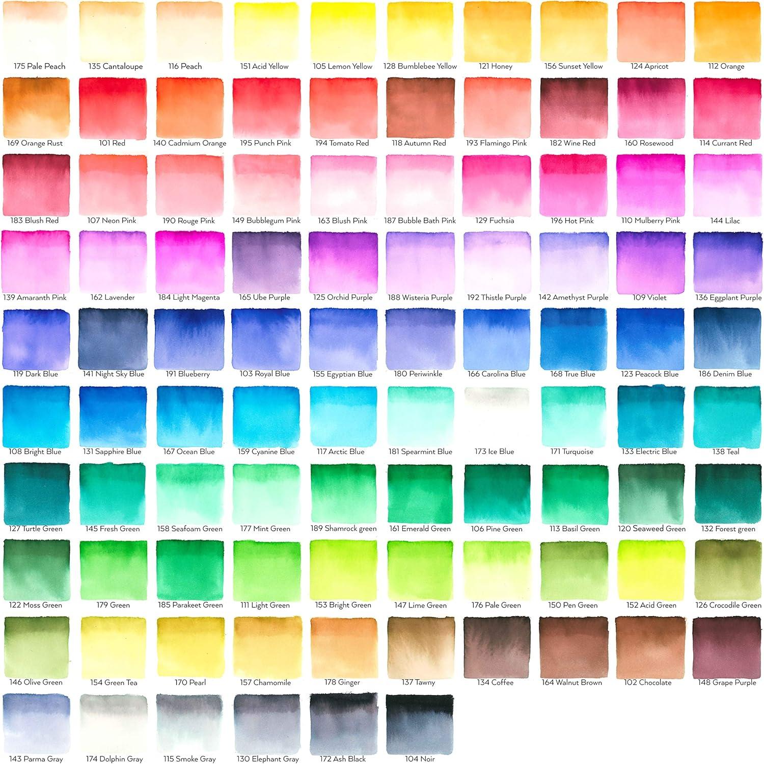 ARTEZA Watercolor Paint Pens, 24 Watercolor Brush Pens with Flexible Nylon Brush Tips, Paint Markers for Artists, and Beginners(Artistic)