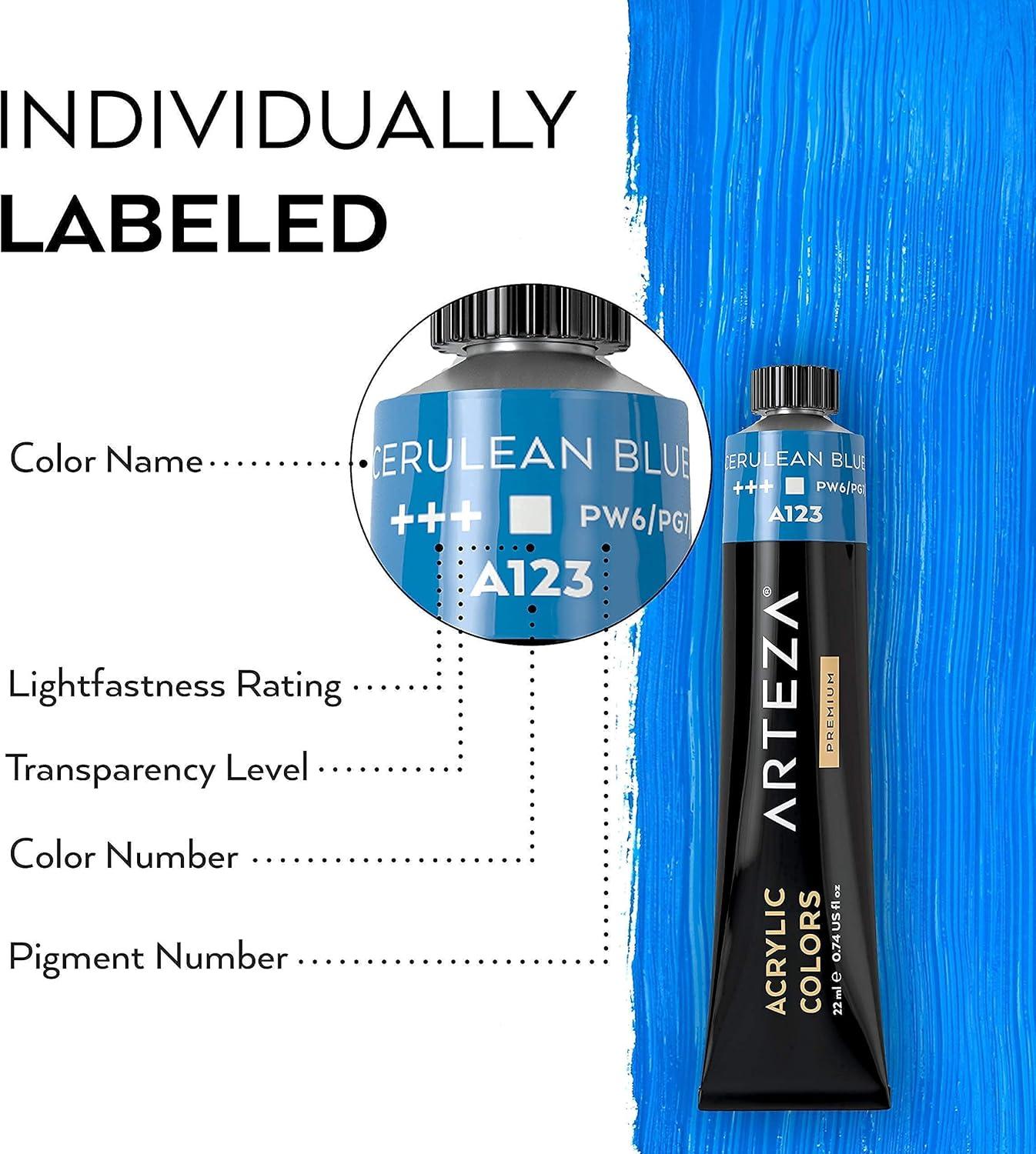 Arteza Acrylic Paint Set of 24 and Canvas Set of 10 Multipack Bundle, Painting Art Supplies for Artist, Hobby Painters & Beginners