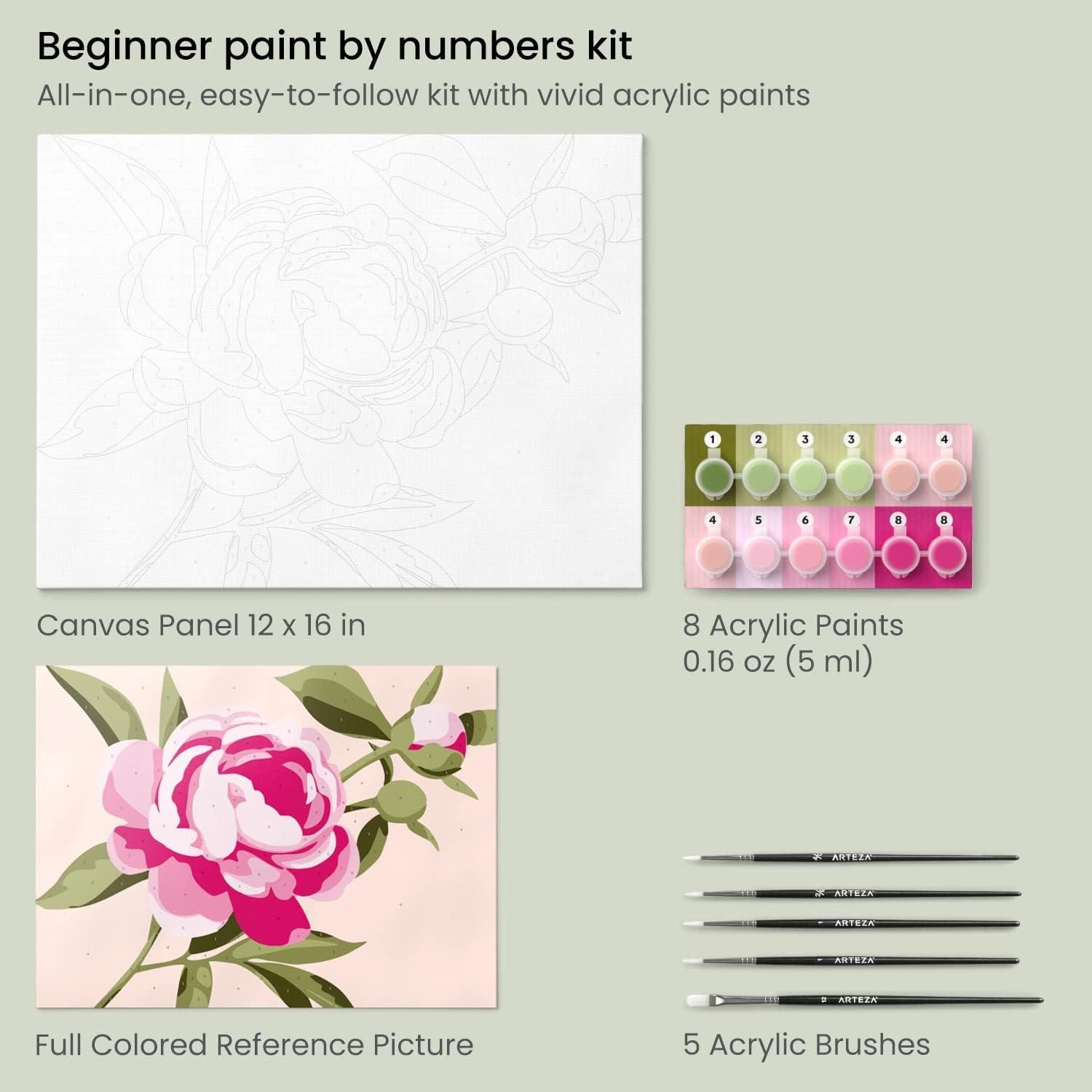 ARTEZA Paint by Numbers Kit, 12×16 Inches, 21 Pieces, Monstera Canvas Painting Kit, Canvas Panel, 12 Acrylic Paint Pots, 5 Paintbrushes, Art Supplies for a Meditative and Calming(Floral)