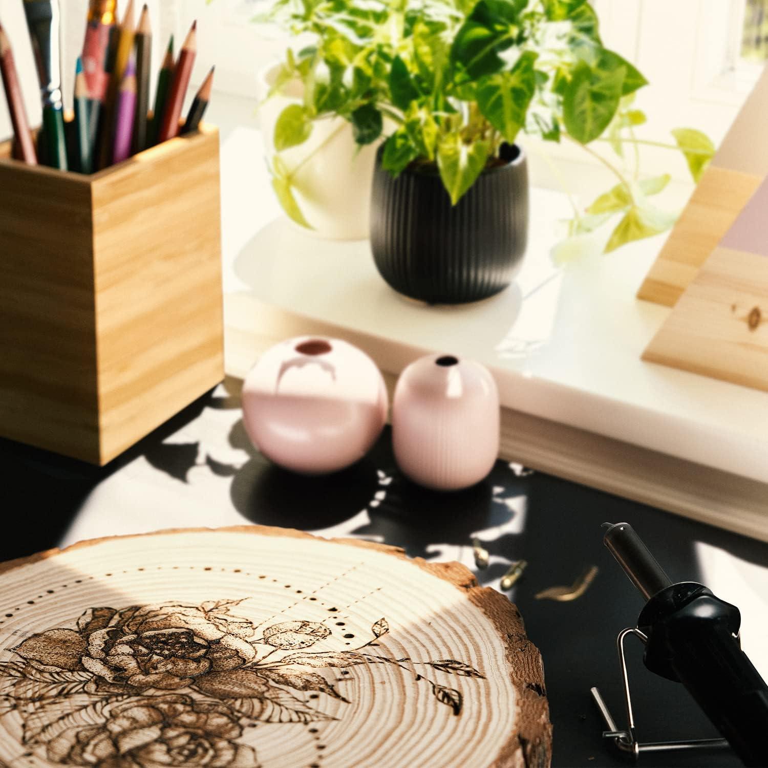 Arteza Wood Burning Kit, 1 Pyrography Pen, 6 Interchangeable Tips, 300–400°C, 25W, Heat Shield and Stand, for Beginners, Intermediates, and Hobbyists