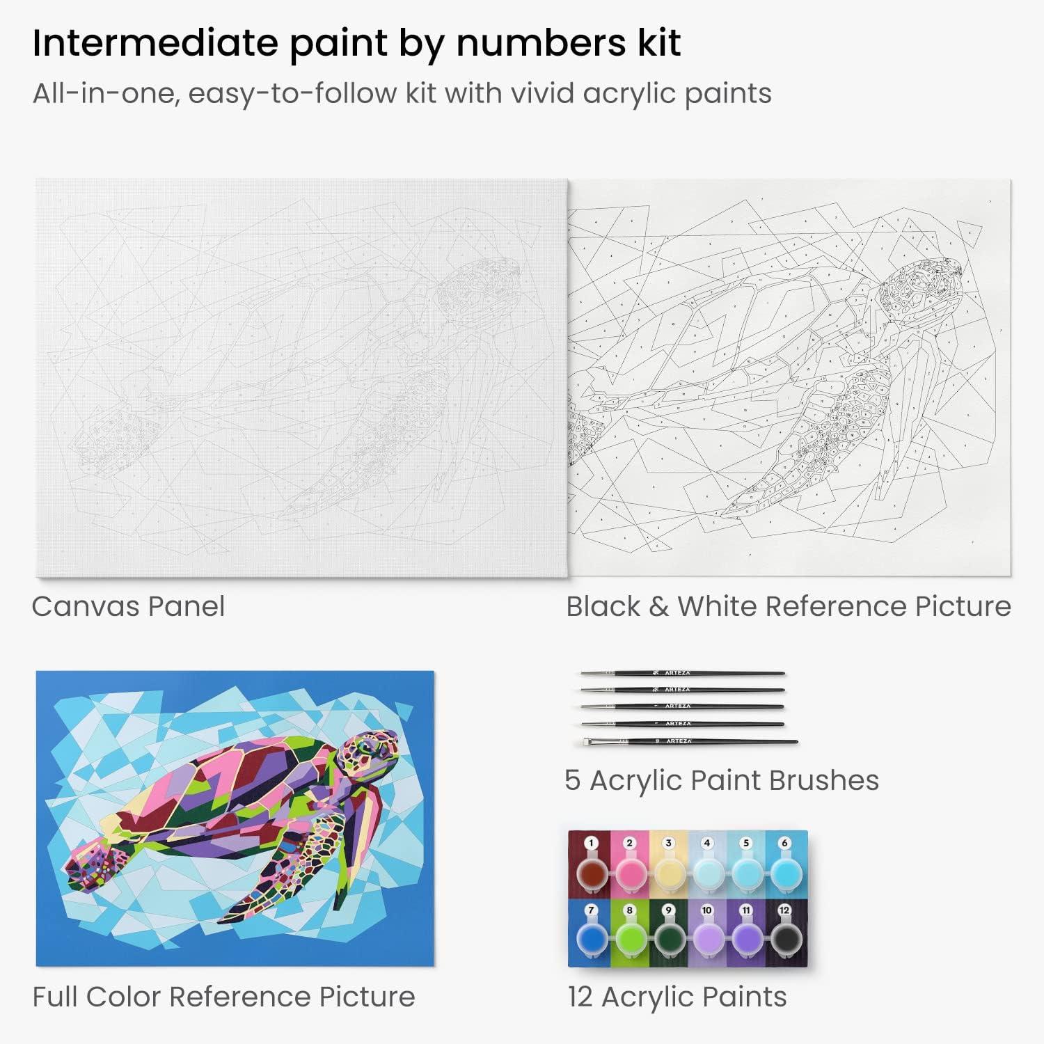 ARTEZA Paint by Numbers Kit, 12×16 Inches, 21 Pieces, Monstera Canvas Painting Kit, Canvas Panel, 12 Acrylic Paint Pots, 5 Paintbrushes, Art Supplies for a Meditative and Calming(Turtle)
