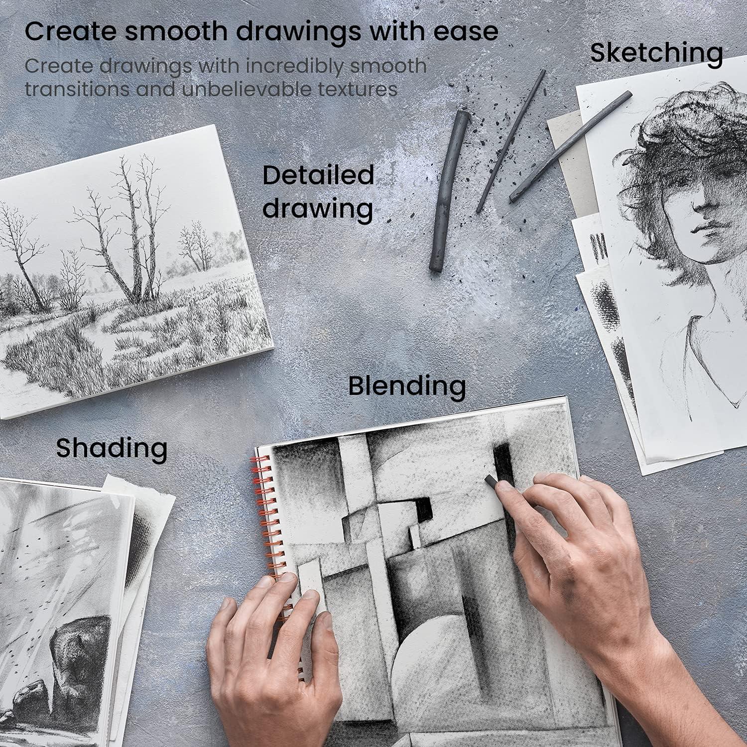 ARTEZA Willow Charcoal Sticks, Set of 45, Assorted Thin, Medium, and Thick Sketching Charcoal